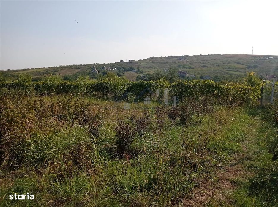 Intravilan - Tomesti - Teren si Cabana din Lemn