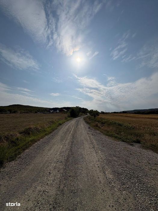 Teren intravilan 2 Ha -Ortelec parcelabil 2800eur/ar neg