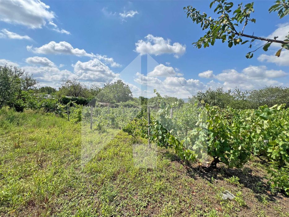 Продава еднофамилна, тухлена къща в с. Струйно (обл. Шумен). ТОП имот!