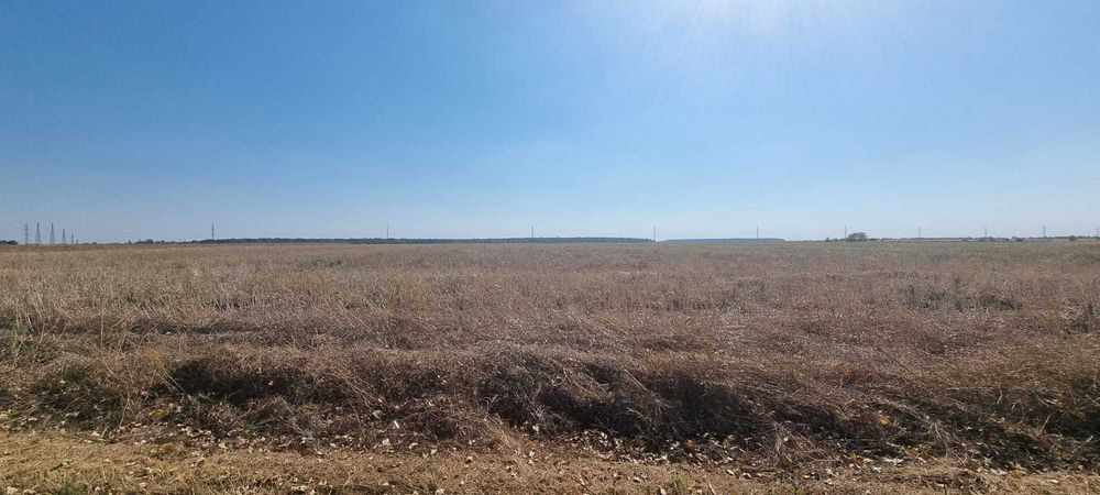 Pret redus! 10000mp intravilan Snagov Peris Tancabesti