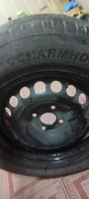 Balon diska sotiladi surochna