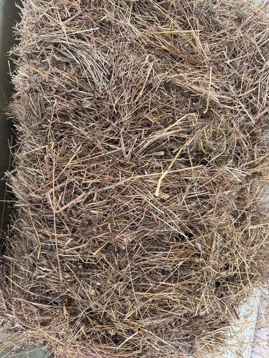 Кырдың шөп сатылады