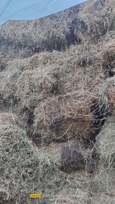 Шөп Сатылады. Бағасы 1600теңге