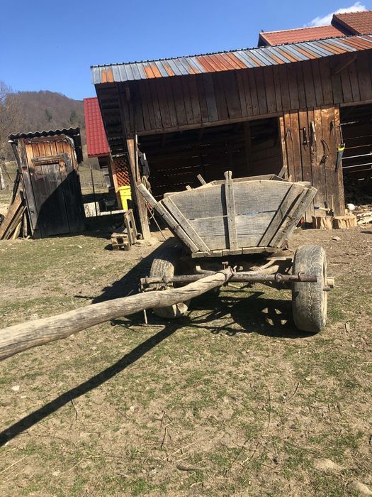 Vând ștraf doi cai