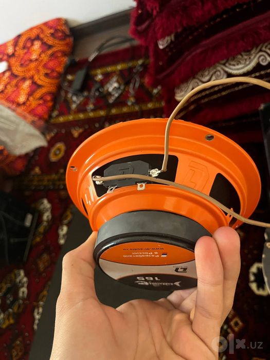 DL audio baracuda