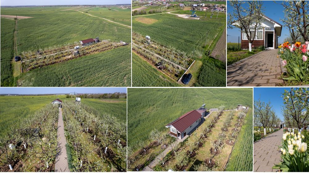 Teren si Casa de vacanță / Livada de pruni / Tufeni - OLT