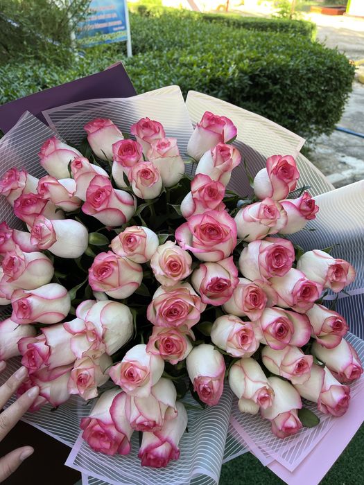 Гарантиясымен свежий