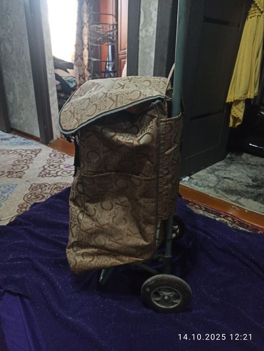 Тележки для базара разные варианты есть