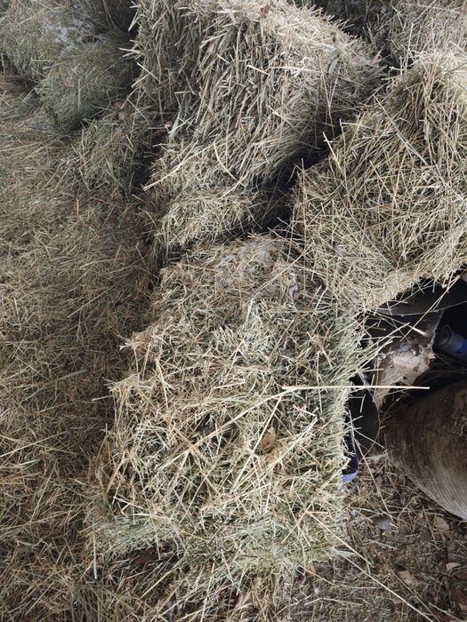 Самовывоз Василек шөп в тюках
