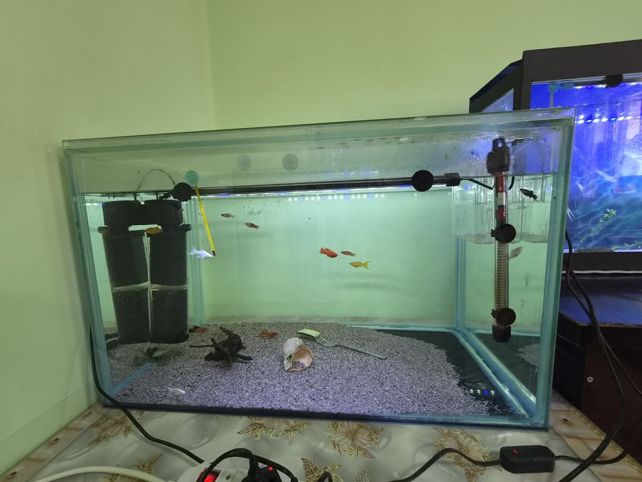 Аквариум 2 дона 200 л ва 1 дона 130 л сотилади