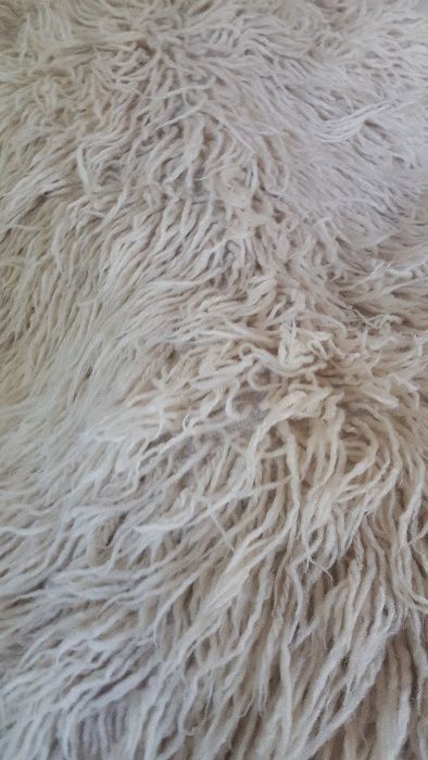 Китеници. Различни цветове