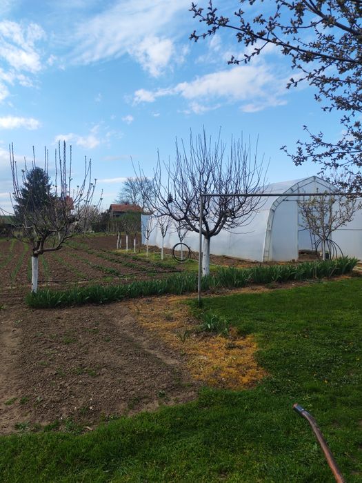 Продава се Къща в с. Ценович, Област Силистра - 150 кв.м за 299 €/кв.м - Снимка #15