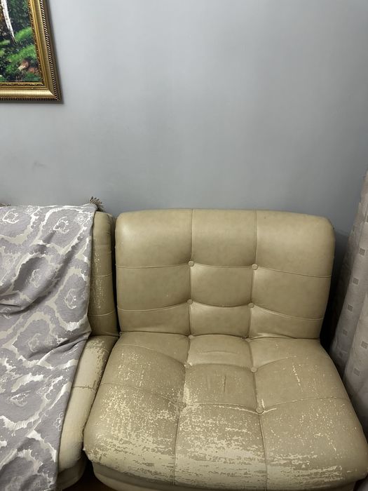 Диван,2 крысло