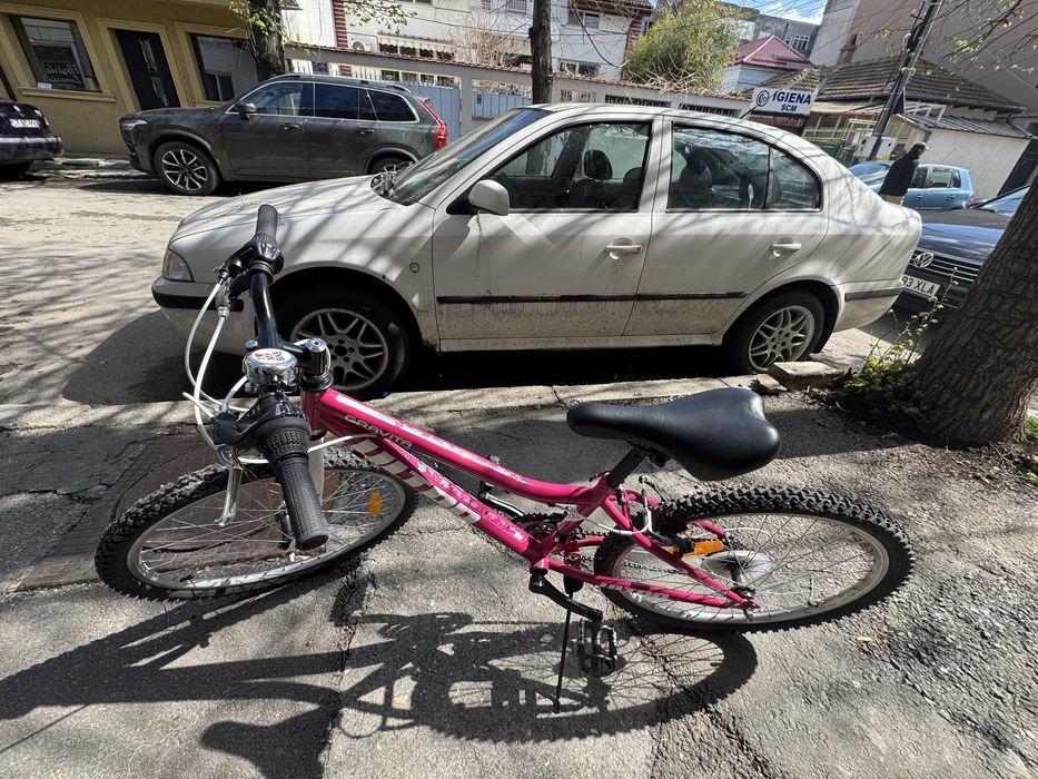 Bicicleta fete 24”