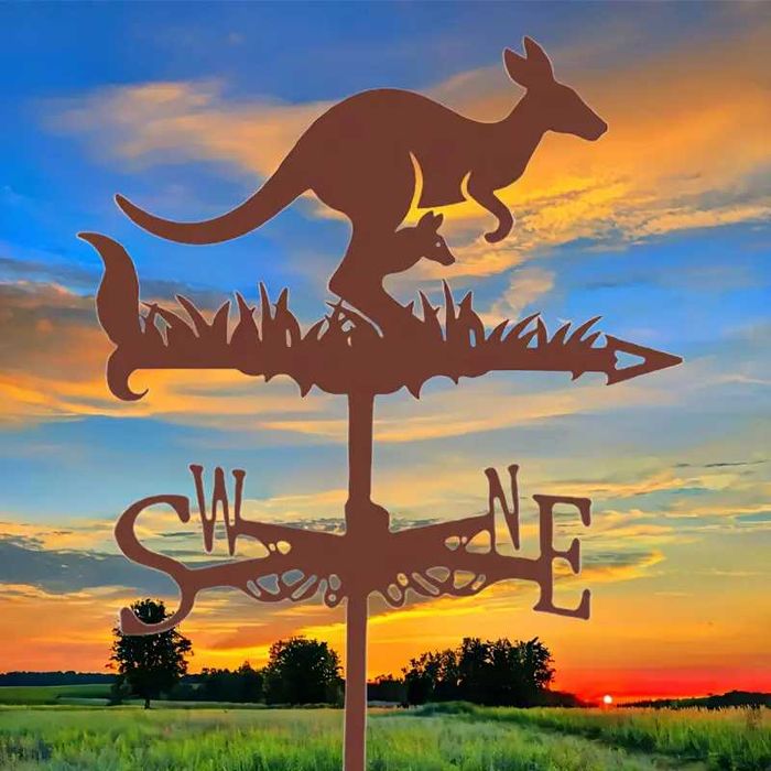 Ветропоказател , ветропоказатели - видове