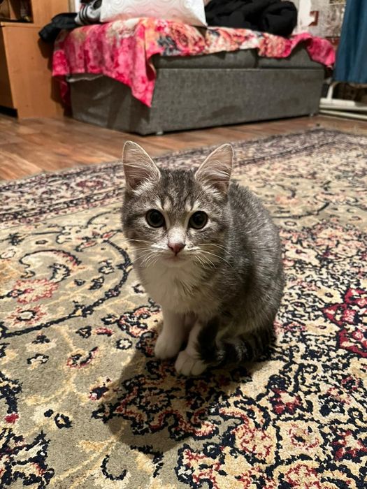 Каму  надо забирайте