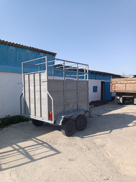 Саша Грей порно көру