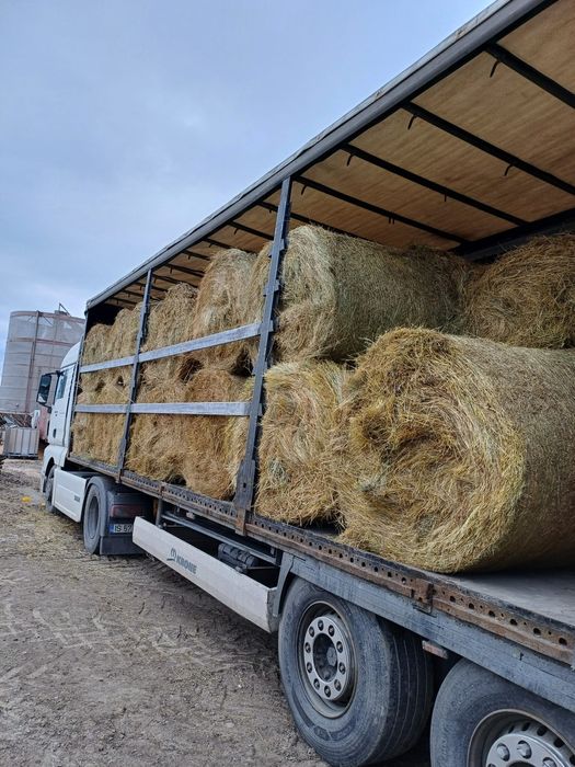 Baloti fan or Lucerna drept.500.Rotunzi min.40.La TIR trans. Inclus>RO