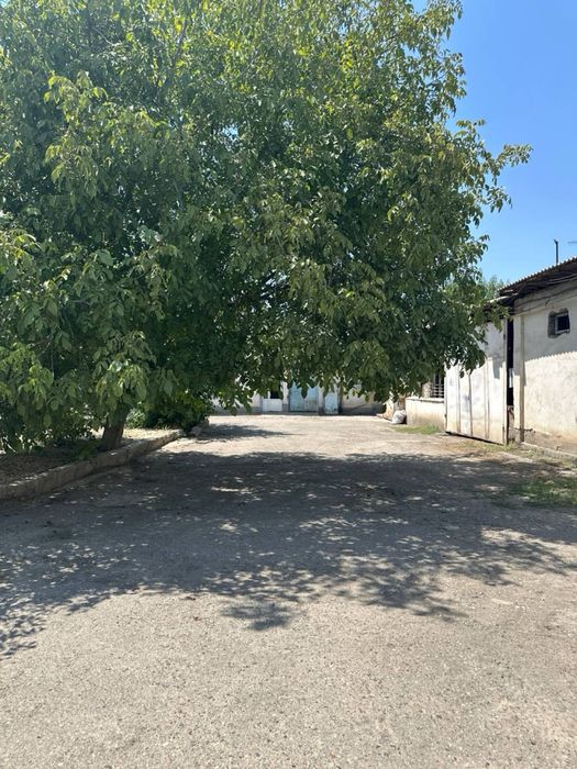 Сдаю в аренду нежилое помещение