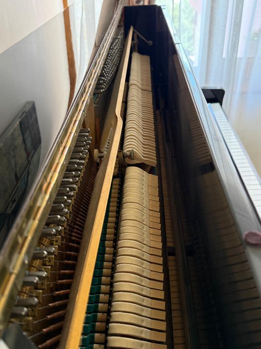 Vand pianina Fibiger