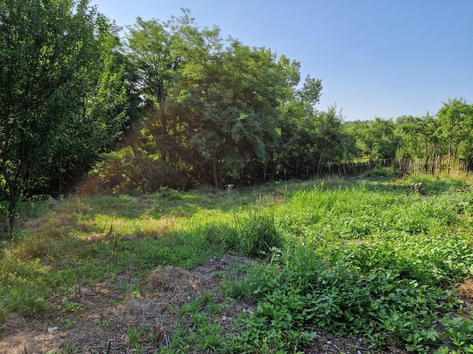 Vand teren intravilan Milcoiu 2200mp