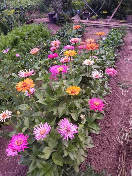 Продам дачу, в районе Пригородны, Черемушки