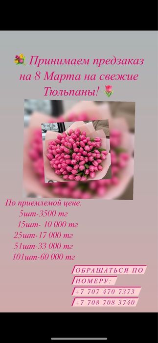 Тюльпаны Беллорусские