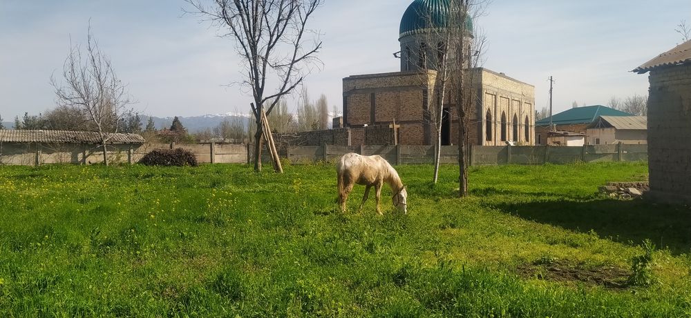 Uy sotiladi! Bo'stonliq tumani