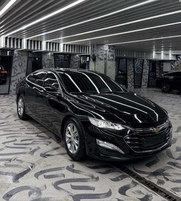 Renta car kunlik avto mashina ijarasi