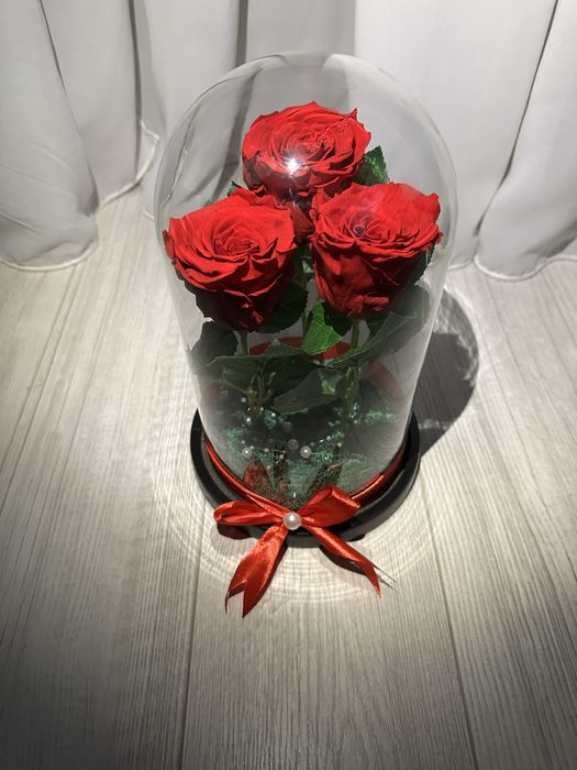 Cupola cu 3 trandafiri criogenati