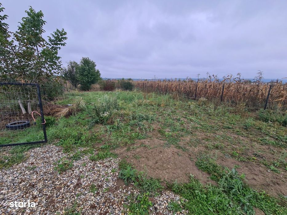 Teren 1100 mp / 550 mp- intravilan Lilieci, Bacau