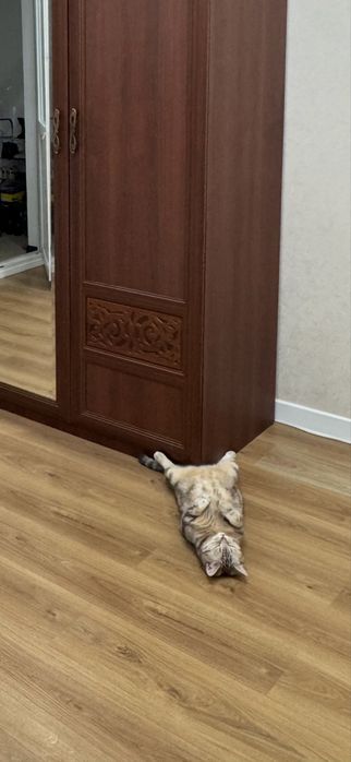 Большой шкаф с зеркалом