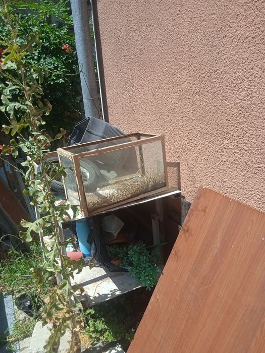 Террариум для питомца