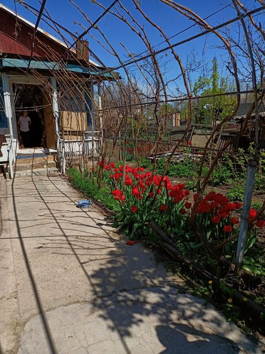 Срочно продам дом