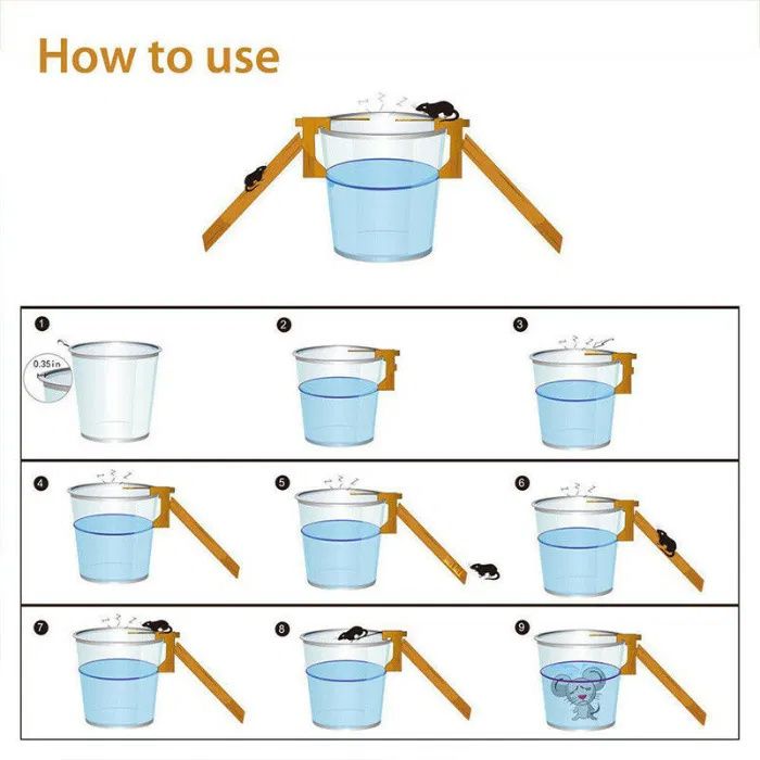 Cursa pentru prindere sobolani in mod continuu! Fara otrava/clei Nou!