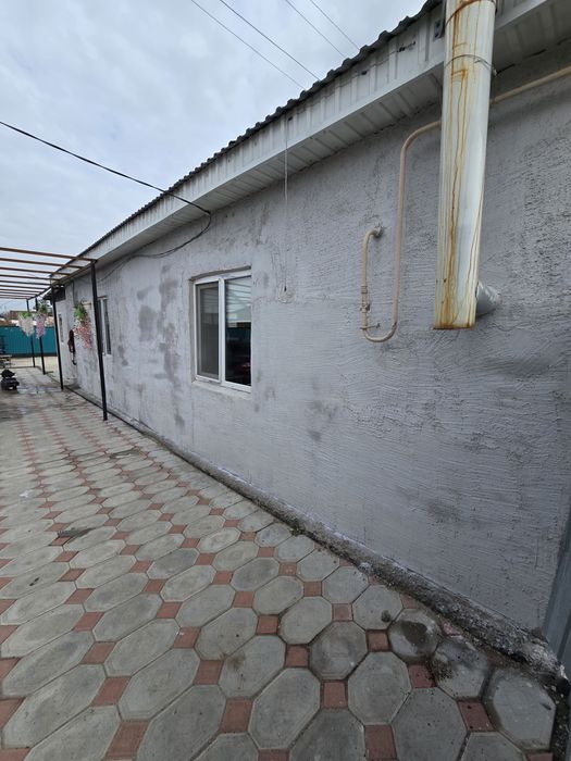 Дом продам рядом колхозку