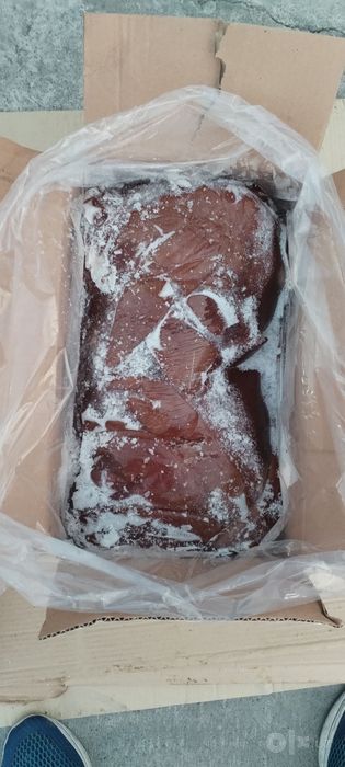Збой махсулотлари Козогистон