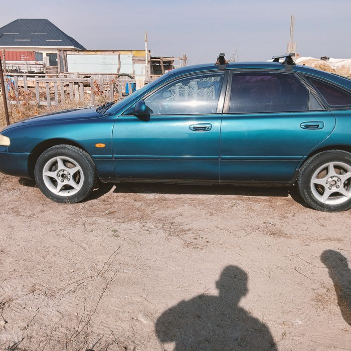 Сиыр кой жылкы обмен