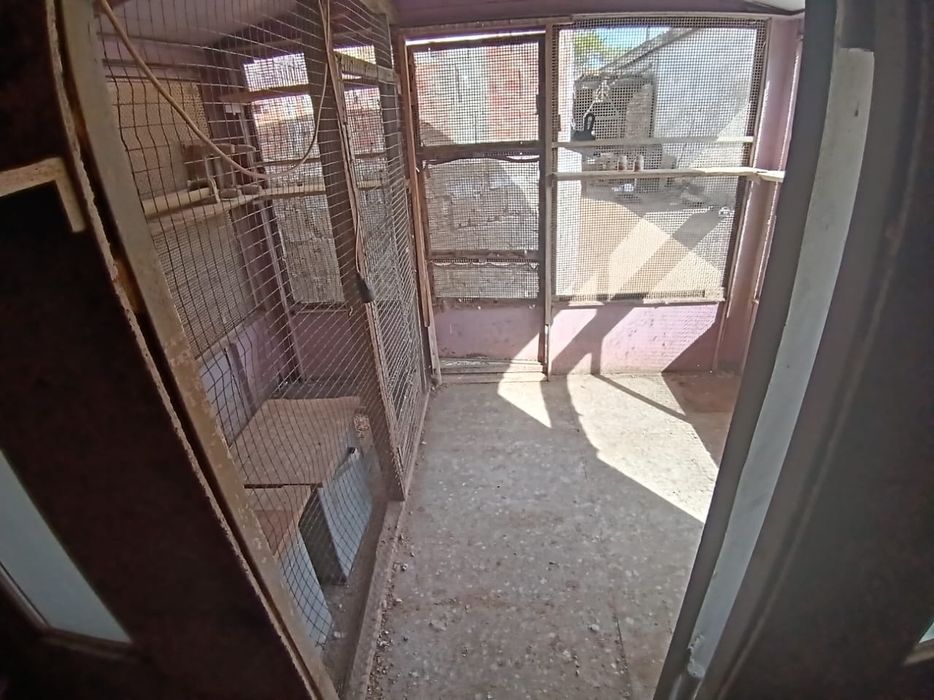 Продам голубятник