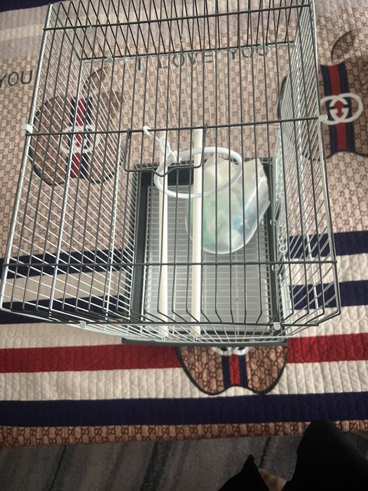 Прдам клеику для попугай или птиц