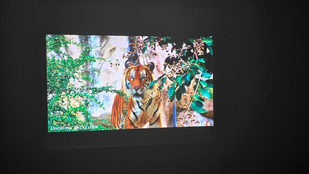 Проектор ViewSonic PJD5254