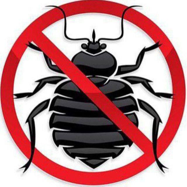 Скидка 10% Дезенфекция дизенфекция дезинфекция дизинфекция dizinfeksiy