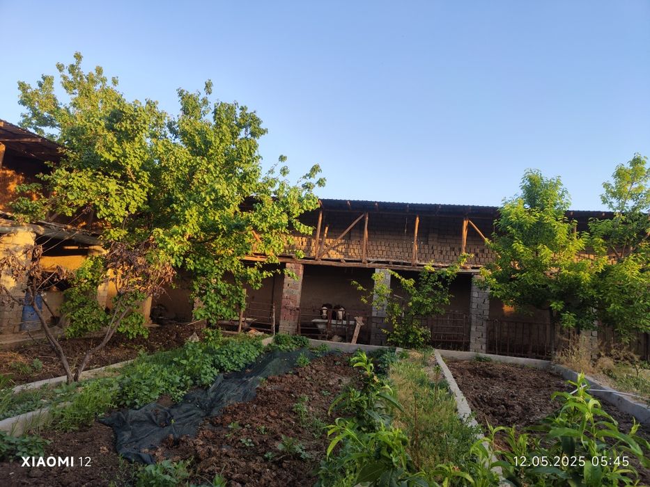 Молхона, чорвачилик учун жой. аренда ижара