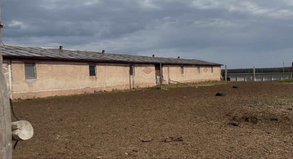 Фазенда / Готовый Бизнес