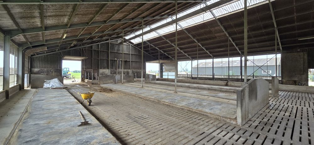 Hala metalica completa grajd vaci 55 /24