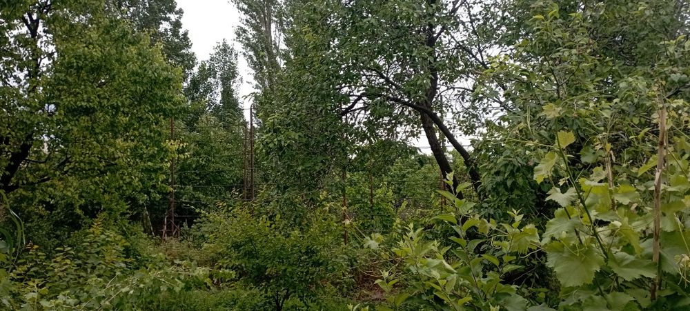 Продается участок в маиском