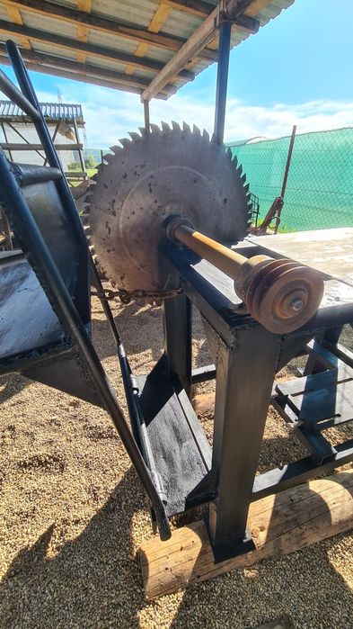 Circular cu motor trifazic