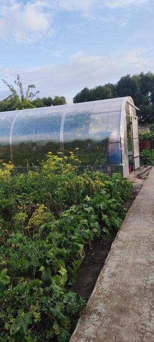 Дачу в с.о. Дельта с. Мичурино