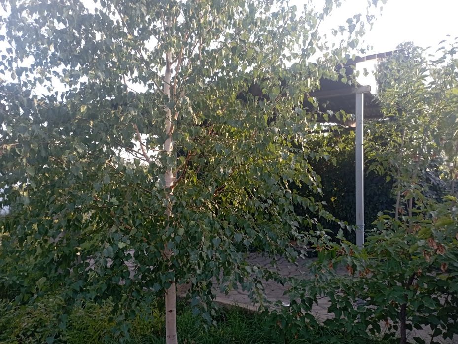Продам дачу в связи с переездом