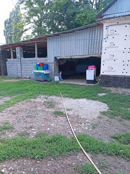 Дом продается кенап таусагыз ауылы